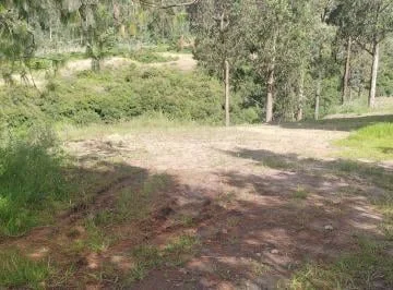 Vendo Bonito Terreno Comunal en Tumbaco Sector Guagrahuma — imagen 4