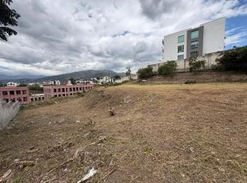 Terreno - Cumbayá — imagen 4