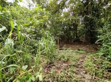 Venta Terreno Mindo — imagen 5