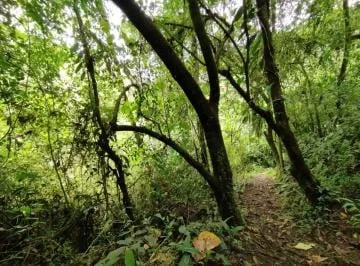 Venta Terreno Mindo — imagen 4