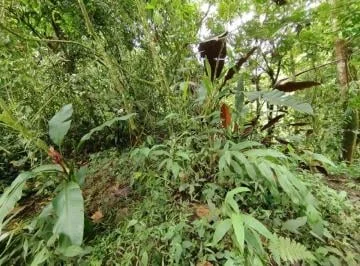 Venta Terreno Mindo — imagen 3