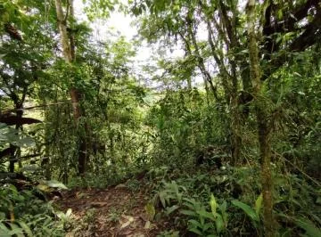 Venta Terreno Mindo — imagen 2