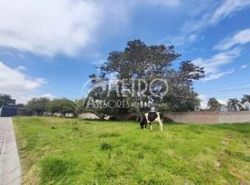Terreno en Venta 550 m² en Puembo — imagen 4