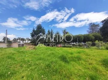 Terreno en Venta 550 m² en Puembo — imagen 2