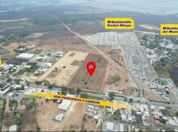 Vendo Terreno 6h en Chongón, a 300 m de Vía a La Costa, Guayas — imagen 4