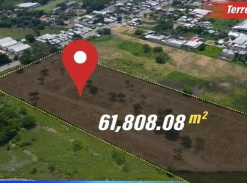Vendo Terreno 6h en Chongón, a 300 m de Vía a La Costa, Guayas — imagen 2