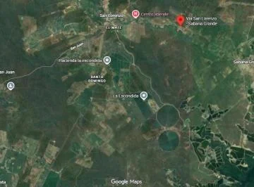 Hacienda Agrícola y Forestal 21.03 Has con Teca – Chongón, Guayaquil - Mons Garcia, Guayas — imagen 4
