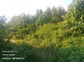 Hacienda Agrícola y Forestal 21.03 Has con Teca – Chongón, Guayaquil - Mons Garcia, Guayas — imagen 2