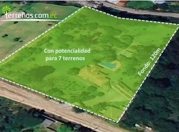 Terreno Independiente de 9.502 m², Puembo — imagen 5