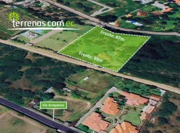 Terreno Independiente de 9.502 m², Puembo — imagen 4