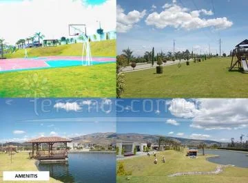 Lotes Campestres de Venta en Tabacundo Desde 700 m², Urb. Provincia de Pichincha — imagen 3
