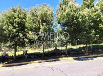 Terreno de 2.550 m² en Venta Dentro de La Urbanización Campo Alegre — imagen 5
