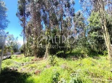 Terreno de 2.550 m² en Venta Dentro de La Urbanización Campo Alegre — imagen 4