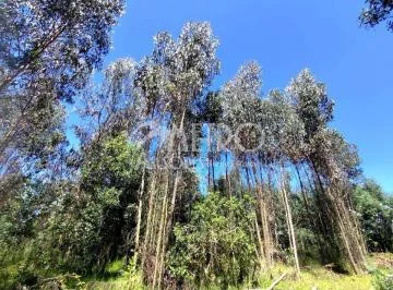 Terreno de 2.550 m² en Venta Dentro de La Urbanización Campo Alegre — imagen 3