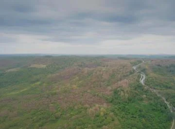 Vendo 60 Hectáreas en Via a La Costa, Limoncito, Se Puede Fraccionar Desde 1 Hectarea, Guayas — imagen 4