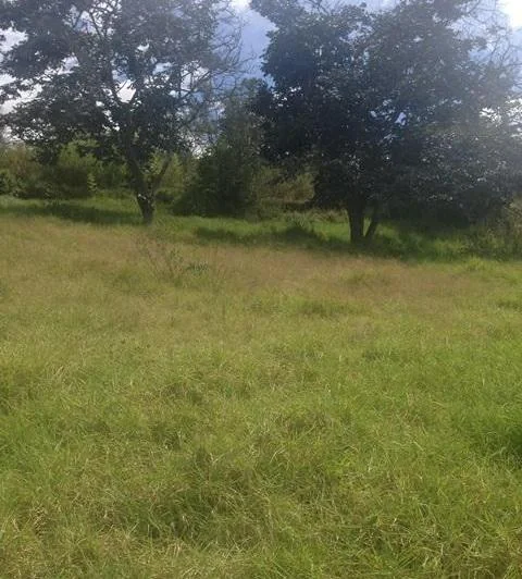 Vendo Terreno de 7.767 m², Nayon, Ideal Proyecto Inmobiliario, Vistas — imagen 1