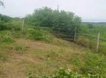 Venta Terreno Entrada 3 Punta Blanca A. Quintana m. Provincia de Santa Elena — imagen 3