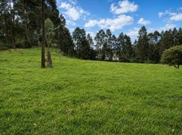 Terreno en Venta | 40.549 m² – Los Chillos, Sangolquí — imagen 4
