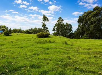 Terreno en Venta | 40.549 m² – Los Chillos, Sangolquí — imagen 3