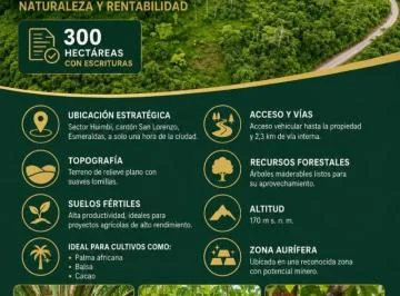 Terreno de 300 Ha en Venta en Centro de San Lorenzo — imagen 5