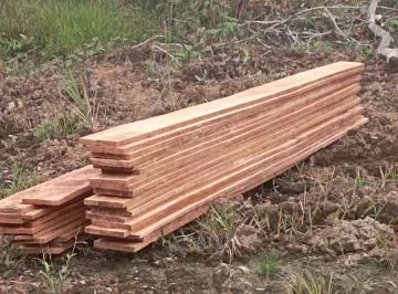 Terreno de 300 Ha en Venta en Centro de San Lorenzo — imagen 4