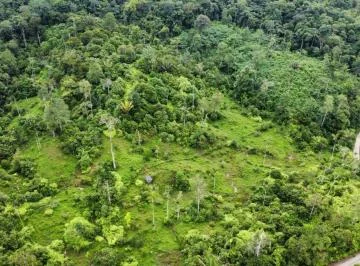 Terreno de 300 Ha en Venta en Centro de San Lorenzo — imagen 3