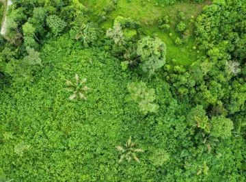 Terreno de 300 Ha en Venta en Centro de San Lorenzo — imagen 2
