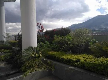 Vendo o Rento Oficina en La Av Naciones Unidas y Núñez de Vela — imagen 2