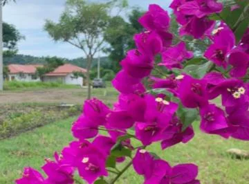 Venta de Terreno en Quintas Rio Olon Desde $38.700 — imagen 3
