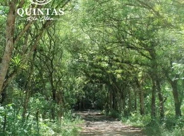 Venta de Terreno en Quintas Rio Olon Desde $38.700 — imagen 2