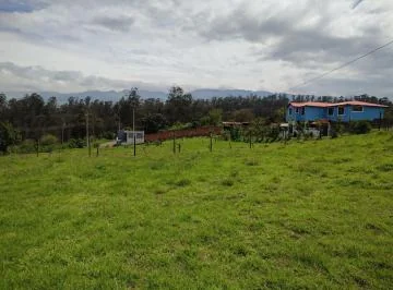 Vendo Terreno Independiente, Sector Pintag — imagen 4