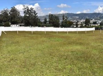 Terreno en Venta 1650 m² Sector Mirasierra — imagen 5