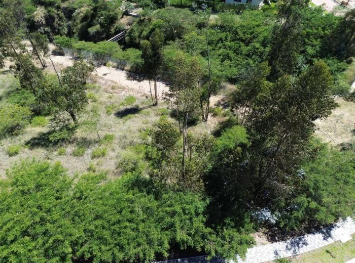 Terreno de 1000 m² en Venta en Tumbaco, Urbanización Privada — imagen 1