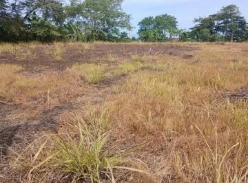 Terreno Estrategico en Tonsupa a Solo $71/m² – Ruta del Spondylus — imagen 2