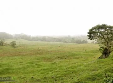 Venta de Terreno, 600 Hectáreas, Hacienda Huila, Entre Papallacta y Baeza. Napo — imagen 5