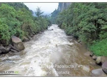 Venta de Terreno, 600 Hectáreas, Hacienda Huila, Entre Papallacta y Baeza. Napo — imagen 4