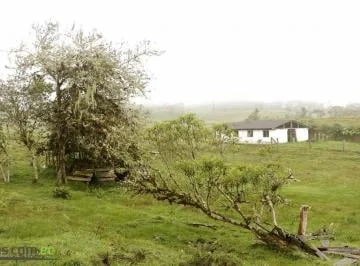 Venta de Terreno, 600 Hectáreas, Hacienda Huila, Entre Papallacta y Baeza. Napo — imagen 3