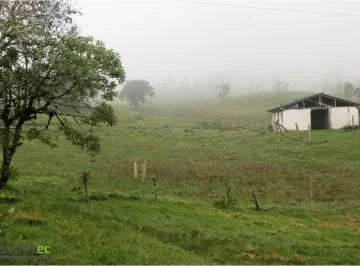 Venta de Terreno, 600 Hectáreas, Hacienda Huila, Entre Papallacta y Baeza. Napo — imagen 2
