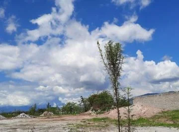 Vendo Terreno de 5959 m en Pifo — imagen 5