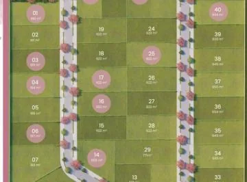 Twg Venta Terreno Tababela, Alado Hotel Eurobuilding — imagen 5