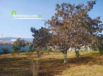 Terreno de Venta 541 m² Proyecto Inmobiliario Urb. Privada Mitad Mundo — imagen 4