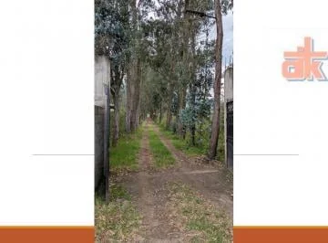 Terreno 11.9 Has en Venta – Cuzubamba Cayambe, Uso Residencial Rural y Agrícola — imagen 5
