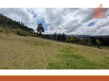 Terreno 11.9 Has en Venta – Cuzubamba Cayambe, Uso Residencial Rural y Agrícola — imagen 4