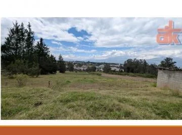 Terreno 11.9 Has en Venta – Cuzubamba Cayambe, Uso Residencial Rural y Agrícola — imagen 3