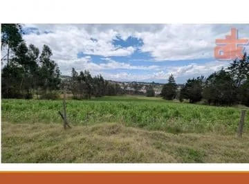 Terreno 11.9 Has en Venta – Cuzubamba Cayambe, Uso Residencial Rural y Agrícola — imagen 2