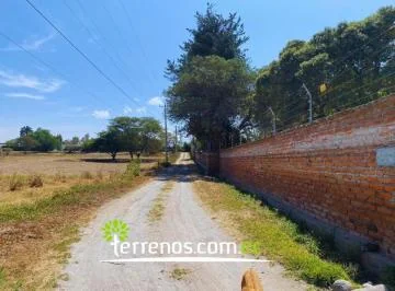 Terreno Independiente de Venta en Puembo 4.599 m², Vía Arrayanes. Provincia de Pichincha — imagen 4