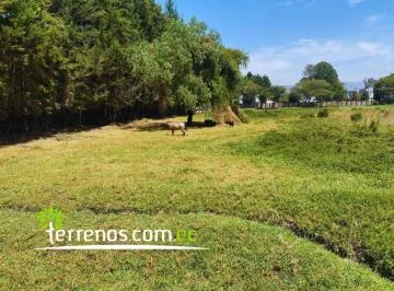 Terreno Independiente de Venta en Puembo 4.599 m², Vía Arrayanes. Provincia de Pichincha — imagen 3