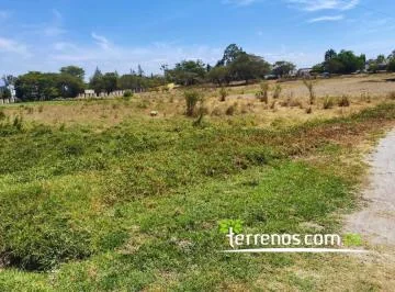 Terreno Independiente de Venta en Puembo 4.599 m², Vía Arrayanes. Provincia de Pichincha — imagen 2