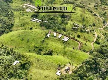 Hacienda de Venta en Archidona, 300 Has Prov. Napo, Napo — imagen 5