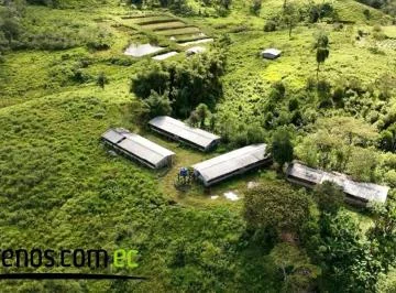 Hacienda de Venta en Archidona, 300 Has Prov. Napo, Napo — imagen 4